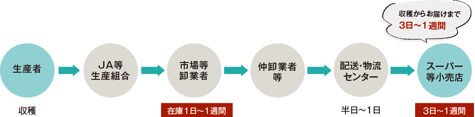 一般農産物の流通経路