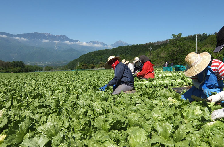 採用情報