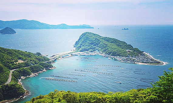 水産事業