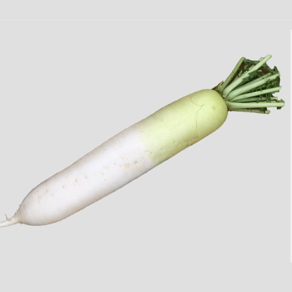 daikon-1