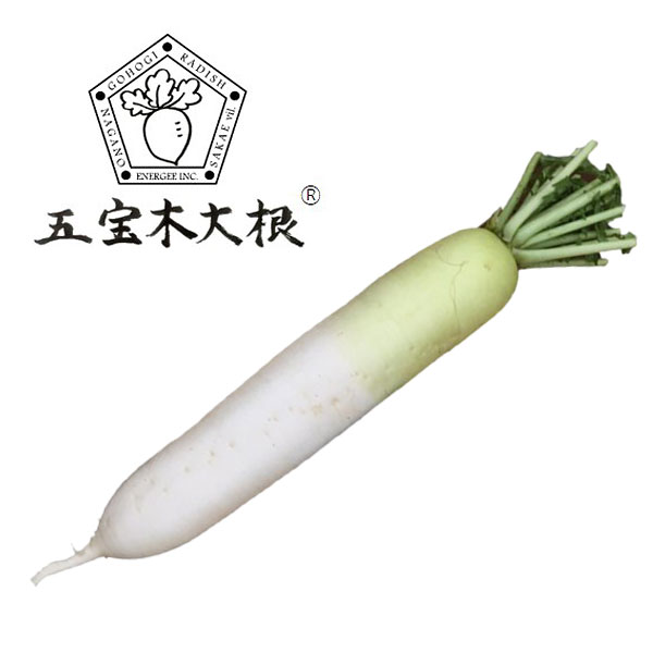 daikon