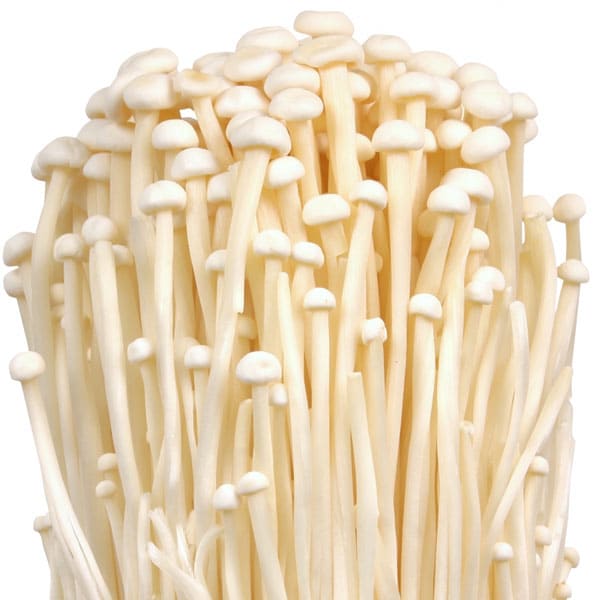 enoki