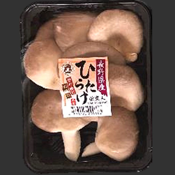 信州おうぎ茸