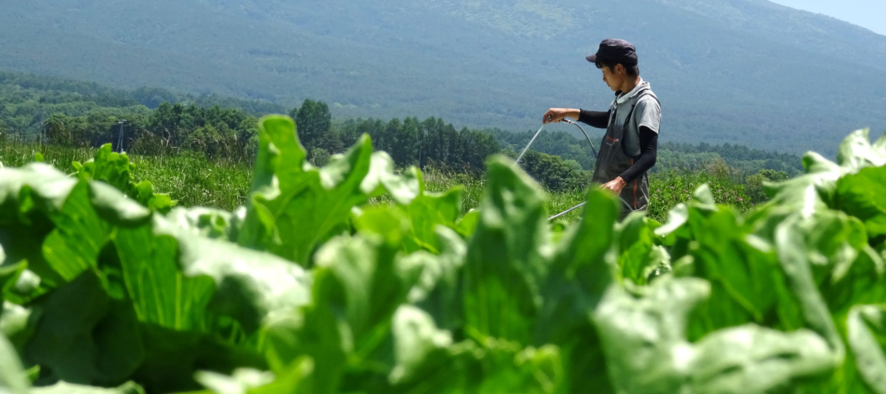 株式会社栄農人