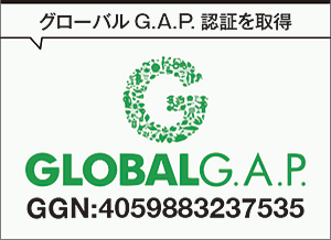 グローバルGAP認証取得